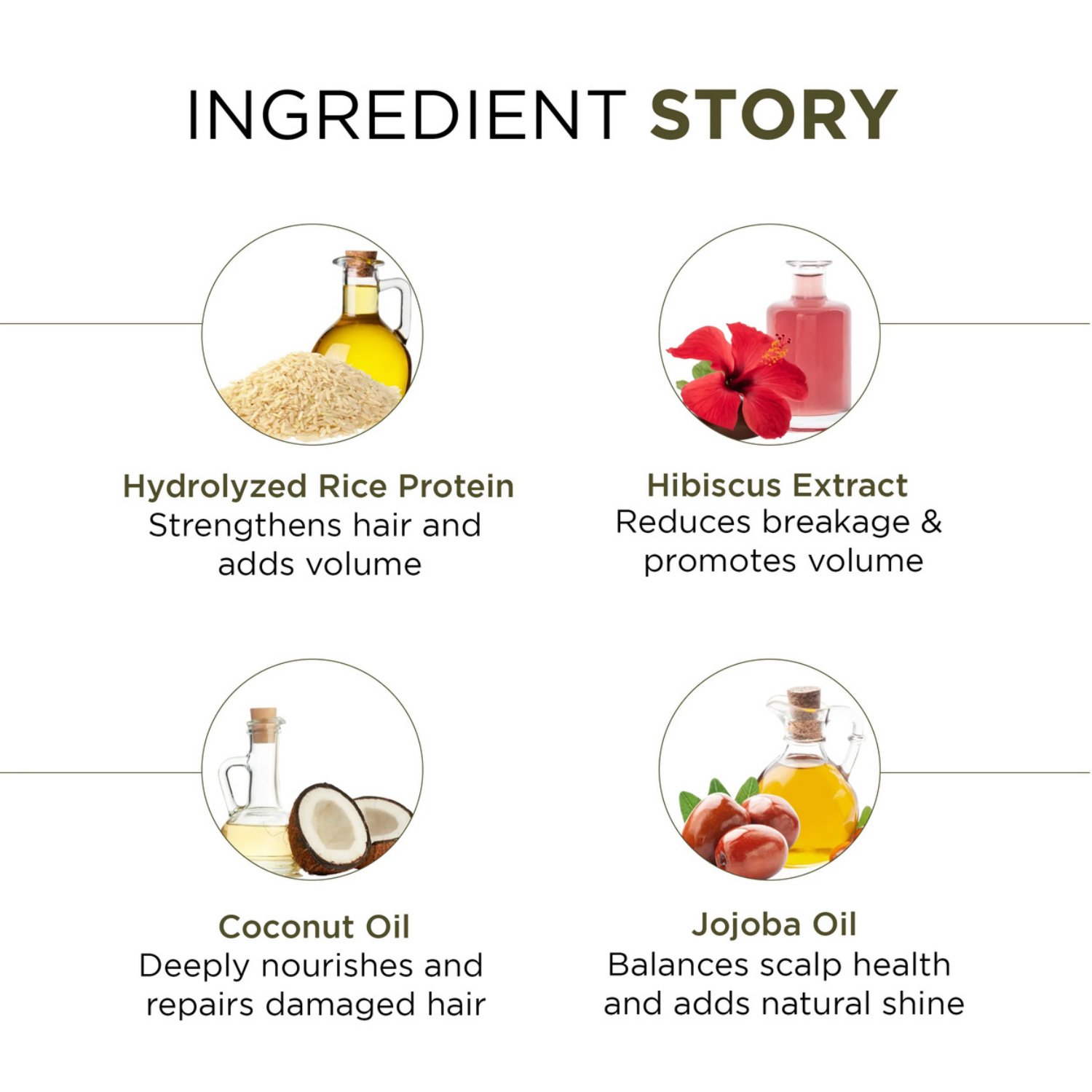 5in1 Hair Conditioner Enriched with Hydrolysed Rice Protein, Hibiscus Extract & Coconut Oil