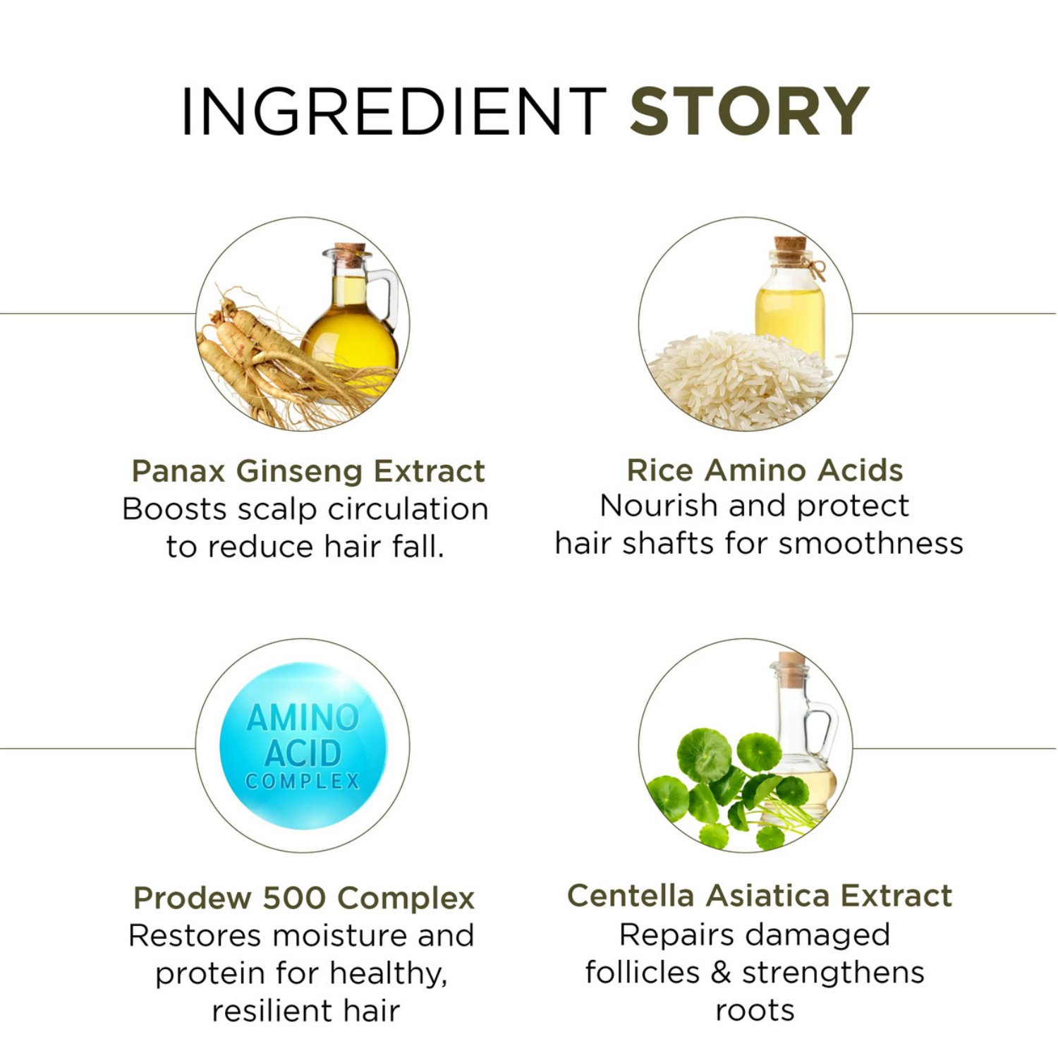 9 IN 1 Shampoo Enriched with Panax Ginseng Extract, Rice Amino Acid, & Prodew 500