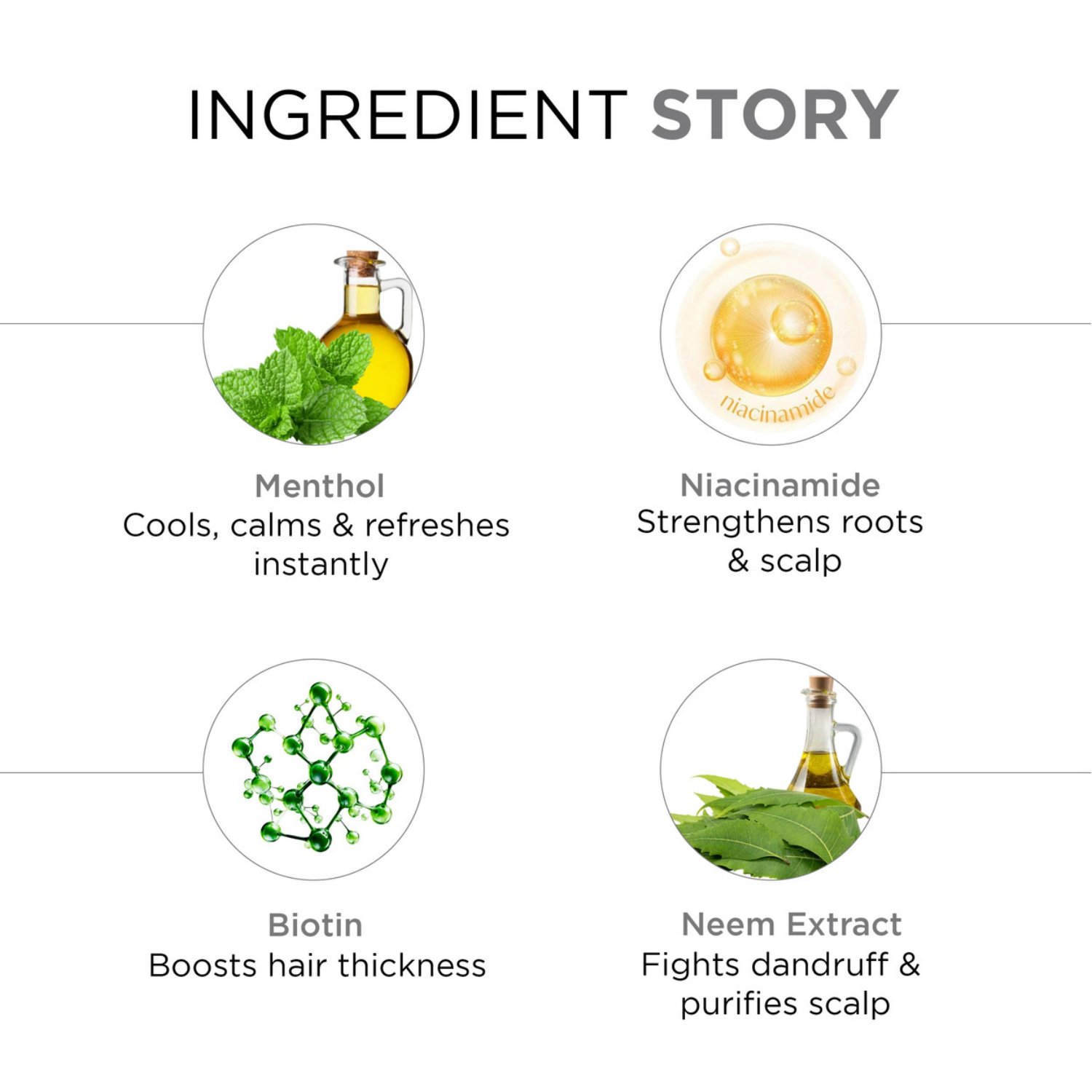 Conditioning Shampoo for Mens Enriched with Niacinamide, Menthol & Biotin