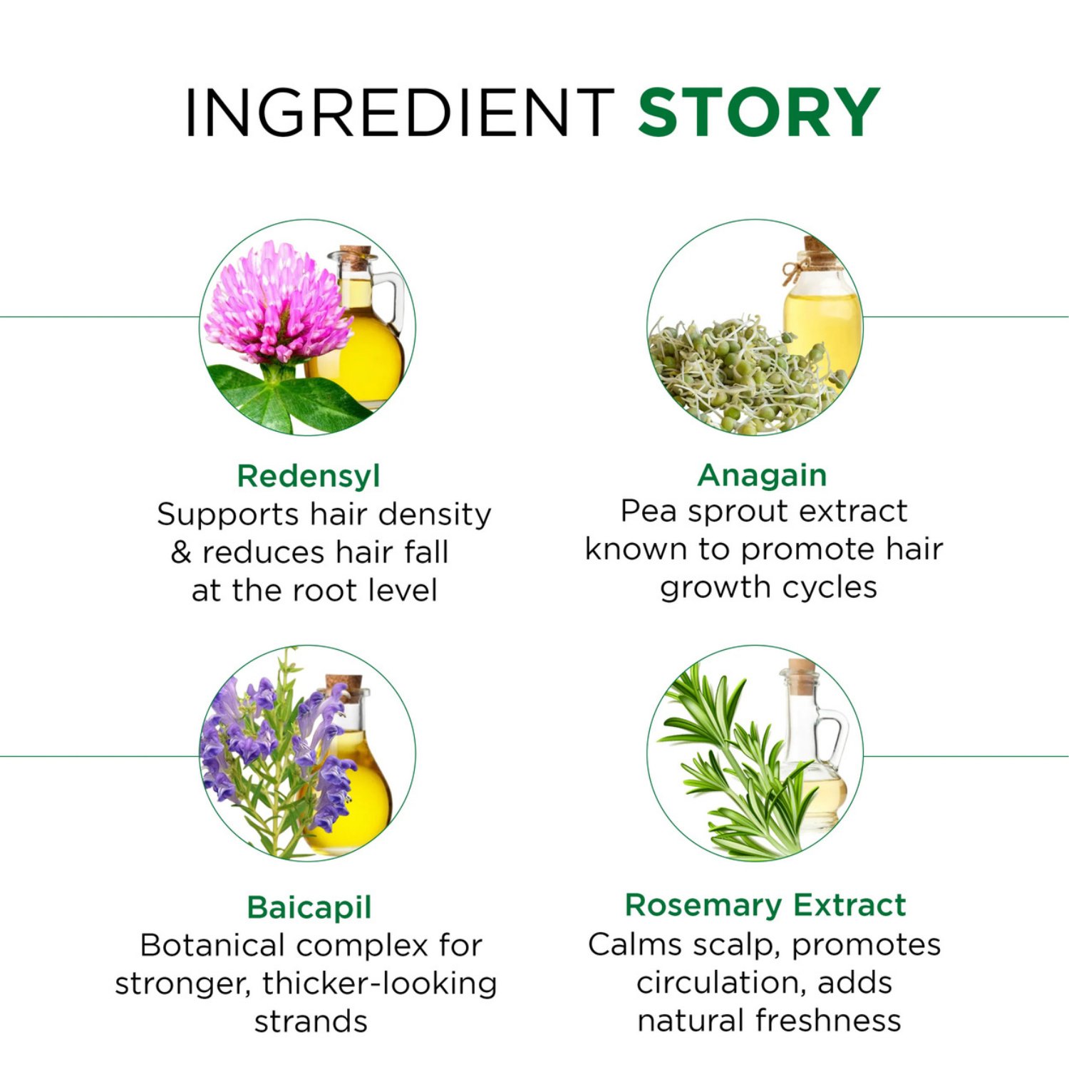 Redensyl + Anagain + Baicapil + Rootbiotec HO, Biotin Infused with Rosemary Extract Anti Hairfall Shampoo